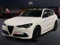 Alfa Romeo Stelvio 2.1 TD 154KW TRIBUTO ITALIANO AT8 Q4 5P Blanco - thumbnail 1