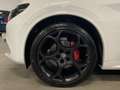 Alfa Romeo Stelvio 2.1 TD 154KW TRIBUTO ITALIANO AT8 Q4 5P Blanco - thumbnail 13