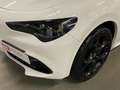 Alfa Romeo Stelvio 2.1 TD 154KW TRIBUTO ITALIANO AT8 Q4 5P Blanco - thumbnail 16