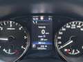Nissan X-Trail 1.7 dci Tekna 2wd x-tronic 360° TETTO PELLE Grigio - thumbnail 12