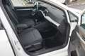 Volkswagen Golf VIII 1.0 TSI*LED*Sitzheizung*DAB+* Weiß - thumbnail 8