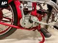Benelli 250 Sport 250cc OHC Czerwony - thumbnail 5