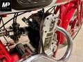 Benelli 250 Sport 250cc OHC Piros - thumbnail 4