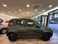 Fiat Panda 0.9 TwinAir Turbo S&S 4x4 Trussardi Verde - thumbnail 4