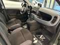 Fiat Panda 0.9 TwinAir Turbo S&S 4x4 Trussardi Verde - thumbnail 15