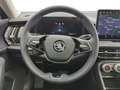 Skoda Kodiaq Selection 2,0 TDI DSG 4x4 Navi+Pano+AHK Grau - thumbnail 13