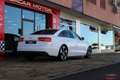 Audi A6 3.0TDI quattro S-Tronic 204 Blanco - thumbnail 3