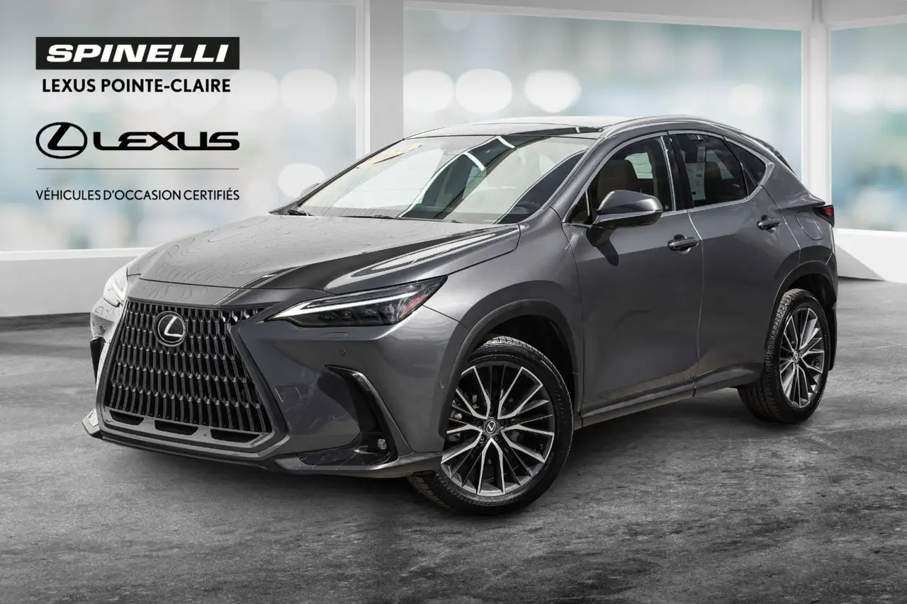 2024 Lexus NX