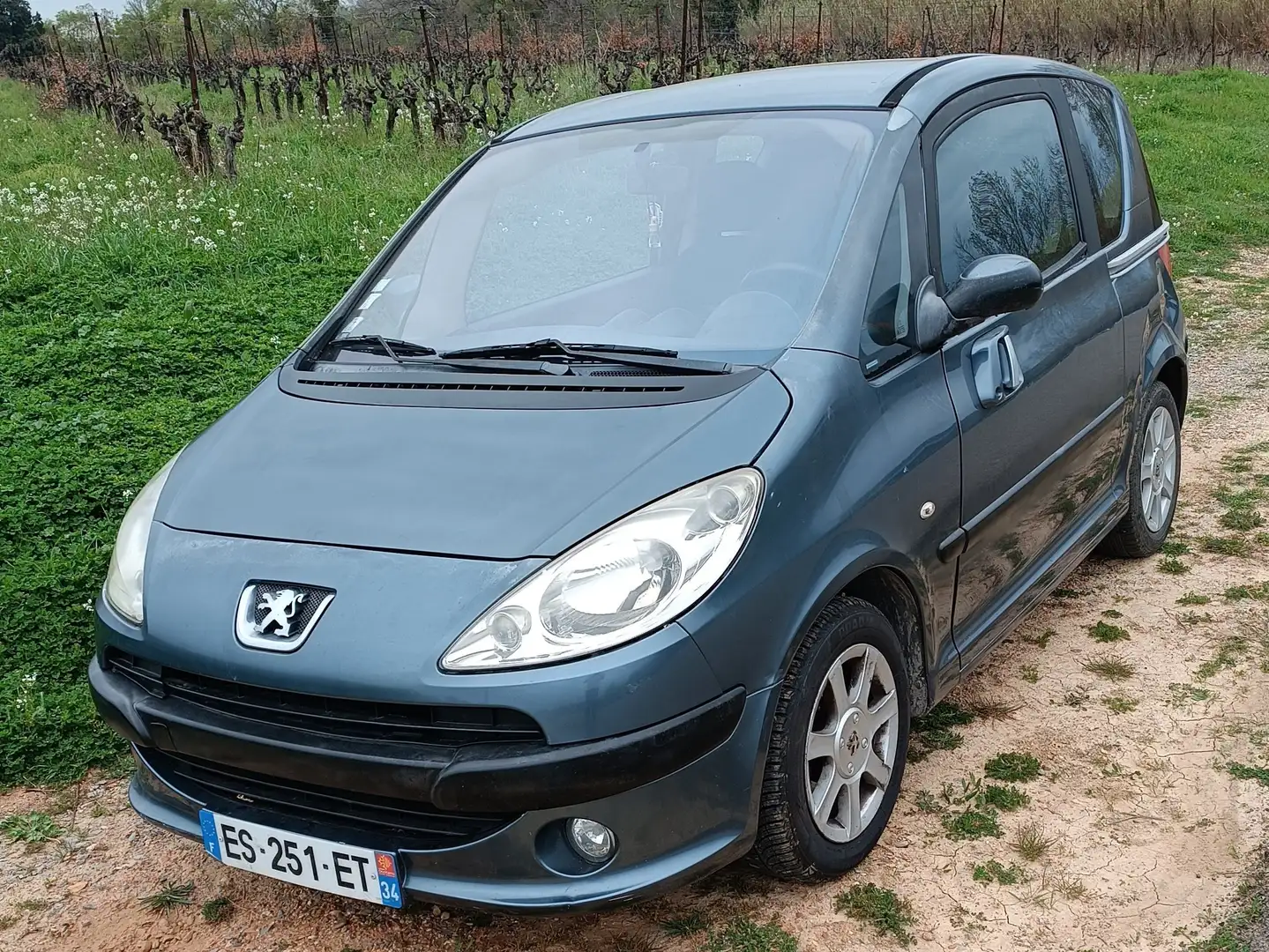 Peugeot 1007 1.4 HDi Vitamine Grijs - 2