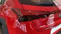 Lexus UX 250h Premium 2WD Rot - thumbnail 16