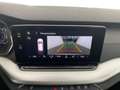 Skoda Octavia Business TDI Weiß - thumbnail 17
