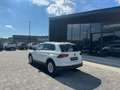 Volkswagen Tiguan 2.0 TDI 150 CV SCR DSG Life Bianco - thumbnail 10