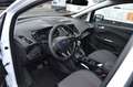 Ford Grand C-Max Grand C-MAX Titanium Weiß - thumbnail 13