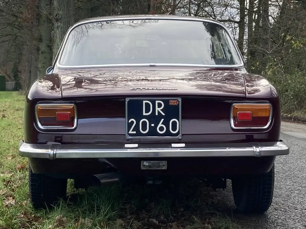Alfa Romeo Giulia GT 1.3 Junior Bertone, foto 3