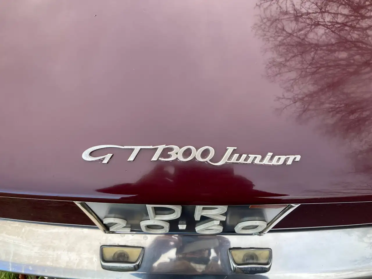 Alfa Romeo Giulia GT 1.3 Junior Bertone, foto 12