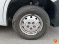 Fiat Ducato L1 H1 2.3 120 CVS Blanco - thumbnail 22