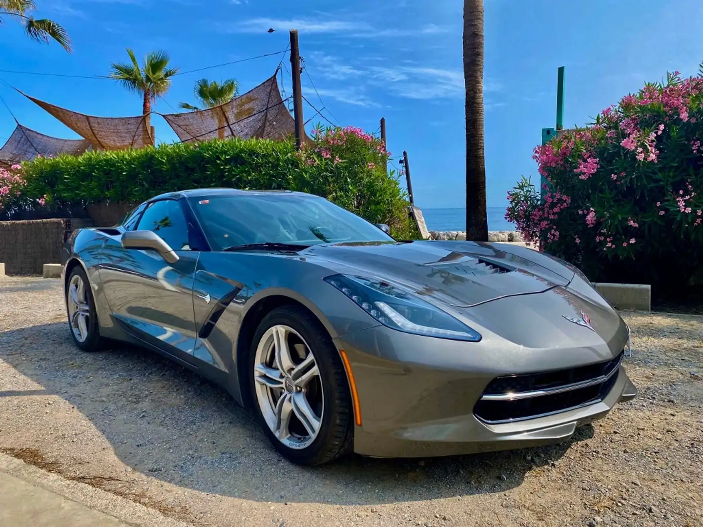 Chevrolet Corvette V8 Z06 Aut. Gris - 1