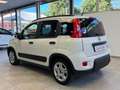 Fiat Panda 1.0 FireFly S&S Hybrid *UNICO PROP.*OK NEOPAT.* Bianco - thumbnail 6