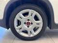 Fiat Panda 1.0 FireFly S&S Hybrid *UNICO PROP.*OK NEOPAT.* Bianco - thumbnail 7