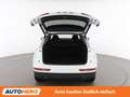 Audi Q5 35 TDI quattro Weiß - thumbnail 16