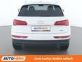 Audi Q5 35 TDI quattro Weiß - thumbnail 5