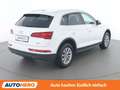 Audi Q5 35 TDI quattro Weiß - thumbnail 6