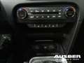 Kia XCeed Plug-in Hybrid Vision 1.6 NAVI Höherlegung 20mm Gris - thumbnail 16