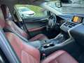 Lexus NX 300h Excutive Hybrid Noir - thumbnail 5