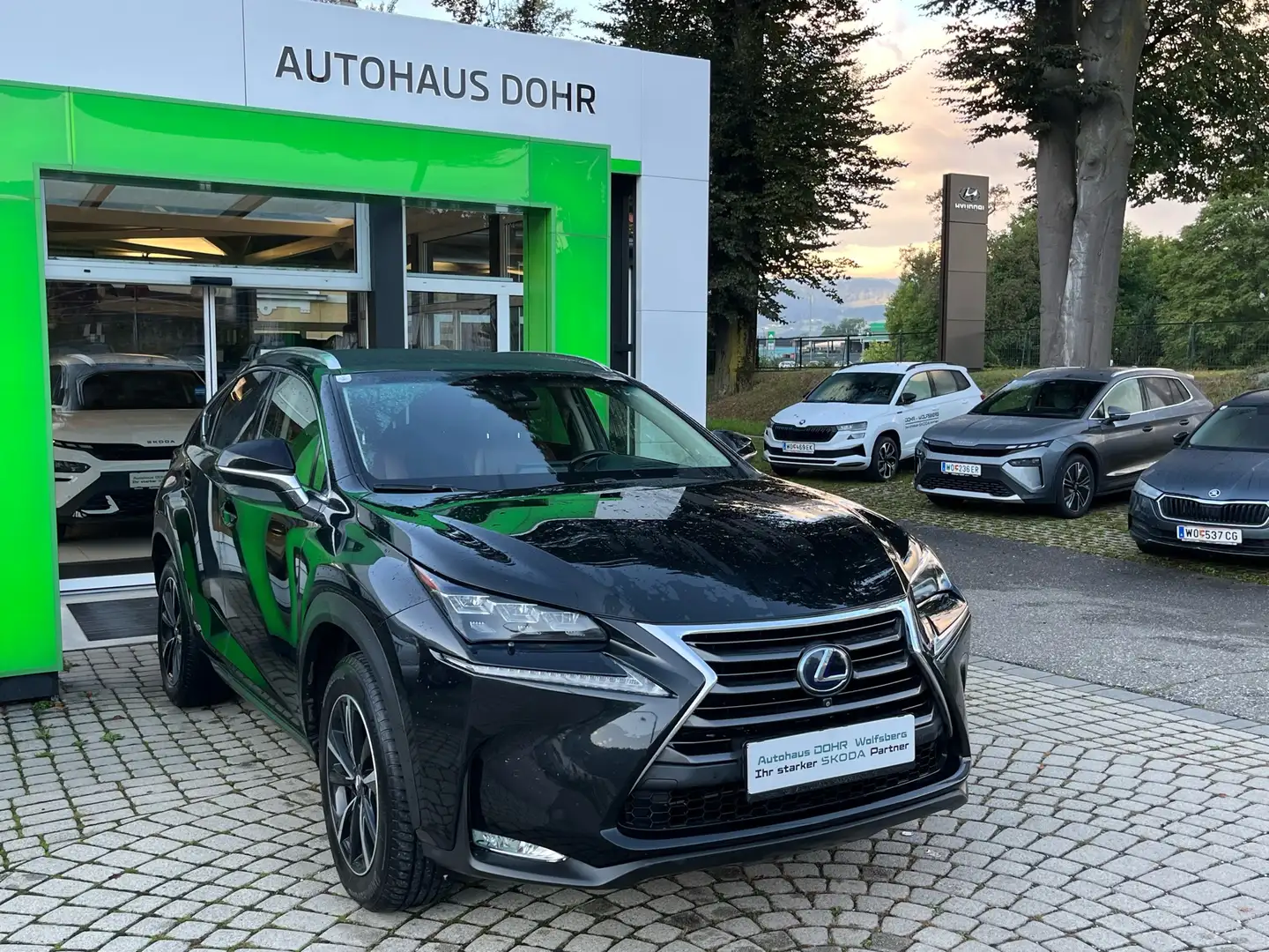 Lexus NX 300h Excutive Hybrid Schwarz - 1