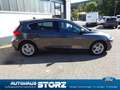 Ford Focus Cool & Connect WINTER PAKET|EASY-PARKING PAKET|SIC Grau - thumbnail 7