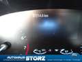 Ford Focus Cool & Connect WINTER PAKET|EASY-PARKING PAKET|SIC Grau - thumbnail 20