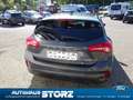 Ford Focus Cool & Connect WINTER PAKET|EASY-PARKING PAKET|SIC Grau - thumbnail 6