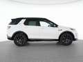 Land Rover Discovery Sport P250 Dynamic HSE 20"+AHK+WINTER Weiß - thumbnail 11