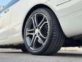 Mercedes-Benz E 220 Coupe d (bt) Sport E6 - thumbnail 12