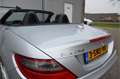 Mercedes-Benz SLK 250 18" Alu, Adaptive Cruice Control Gris - thumbnail 14