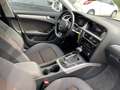Audi A4 allroad 2.0 TDI Advanced 190c S tronic Білий - thumbnail 10