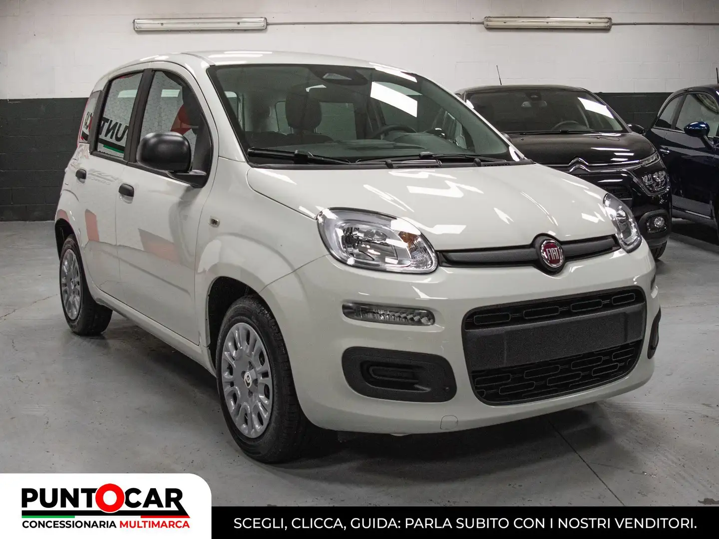 Fiat Panda 1.0 FireFly S&S Hybrid Pandina PROMO FLEX Rot - 2