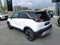 Opel Crossland 1.2 Benzina 110cv ELEGANCE KM ZERO Blanco - thumbnail 5