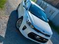 Kia Rio Rio 1.2 Dream-Team Edition Weiß - thumbnail 3