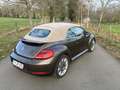 Volkswagen New Beetle Cabrio 2.0 TDi Коричневий - thumbnail 3