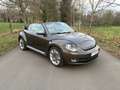Volkswagen New Beetle Cabrio 2.0 TDi Коричневий - thumbnail 2