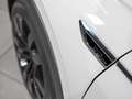 Volkswagen Tiguan 2.0TDI Sport 4Motion DSG 140kW Blanco - thumbnail 11