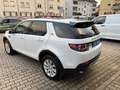 Land Rover Discovery Sport HSE Navi Leder Kamera Weiß - thumbnail 5