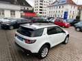Land Rover Discovery Sport HSE Navi Leder Kamera Weiß - thumbnail 4
