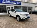 Land Rover Discovery Sport HSE Navi Leder Kamera Weiß - thumbnail 3