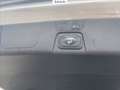Ford C-Max 1.0 ecoboost titanium s&s 125cv Gris - thumbnail 14