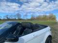Land Rover Range Rover Evoque Range Rover Evoque Cabrio TD4 HSE Dynamic Weiß - thumbnail 7