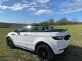 Land Rover Range Rover Evoque Range Rover Evoque Cabrio TD4 HSE Dynamic Weiß - thumbnail 11