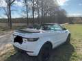 Land Rover Range Rover Evoque Range Rover Evoque Cabrio TD4 HSE Dynamic Weiß - thumbnail 12