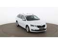 Skoda Octavia Combi 1.6 TDI Style LED AHK RADAR LEDER Weiß - thumbnail 8